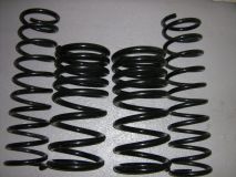 Fahrwerksfedersatz verstrkt 5 cm hher 460/461/463